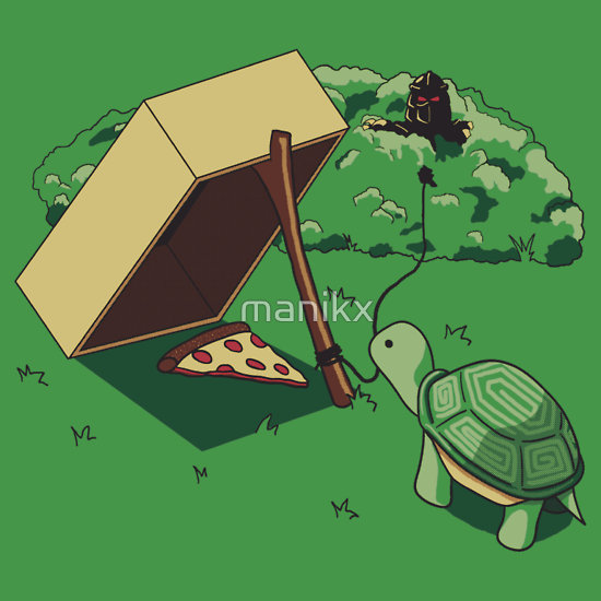 turtle-trap.jpg